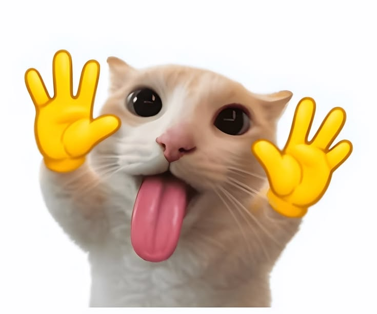 gyro736's tweet photo. @Nicknopizza Nick I love it so much https://t.co/H6ImjvFEjC