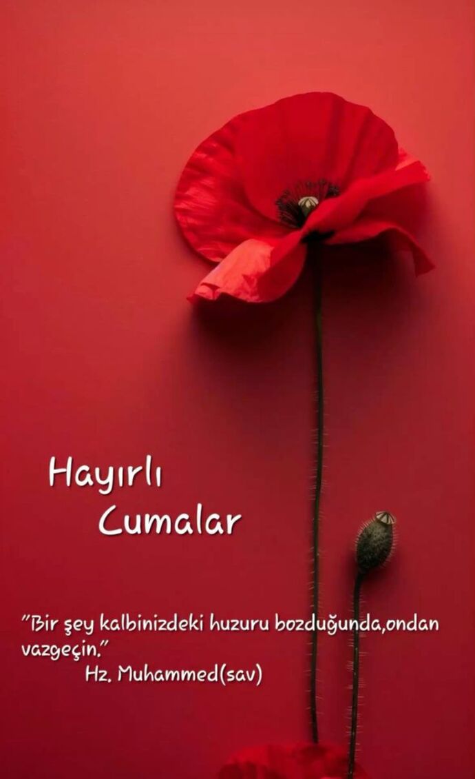 ferhatpost's tweet photo. @COLASLANl Hayırlı Cumalar Reisim.
Cümleten hayırlı cumalar...

@sedat_peker @hizirreis999 
https://t.co/N7fdTsIz0A https://t.co/DG0JotBskG
