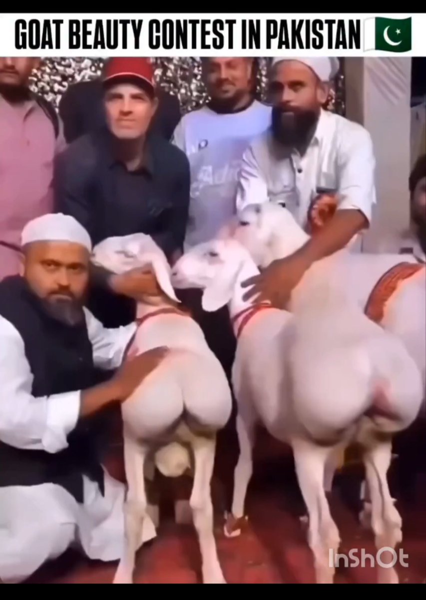 DannySm37986121's tweet photo. @ZF0XR0M @clashreport @SlayerBhai44182 Says a Goat lover 🤡 https://t.co/E1J2h1ylSa