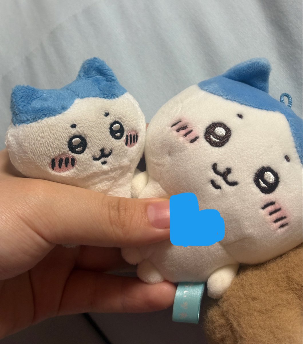 patu__ware's tweet photo. #ぬいぐるみぷくぷく界隈 https://t.co/LQ4cD6tYzp