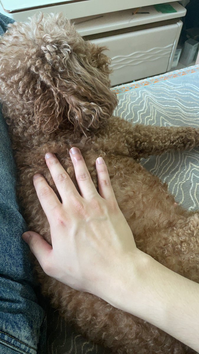 Dylan060915's tweet photo. 肥🐷 https://t.co/hMbfw3MBUP