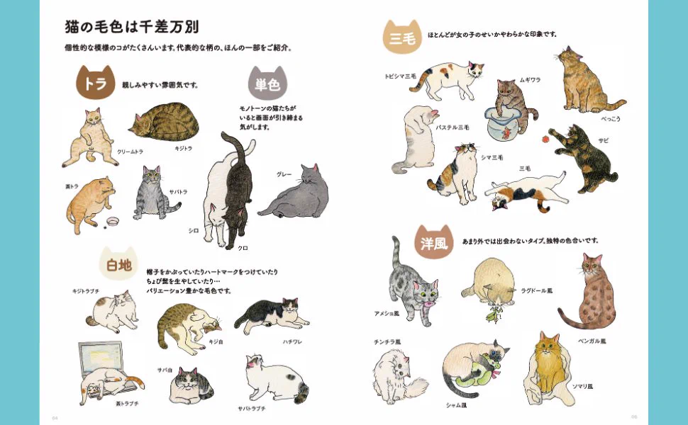 HRWHsvKaoAAHTD8?format=webp&