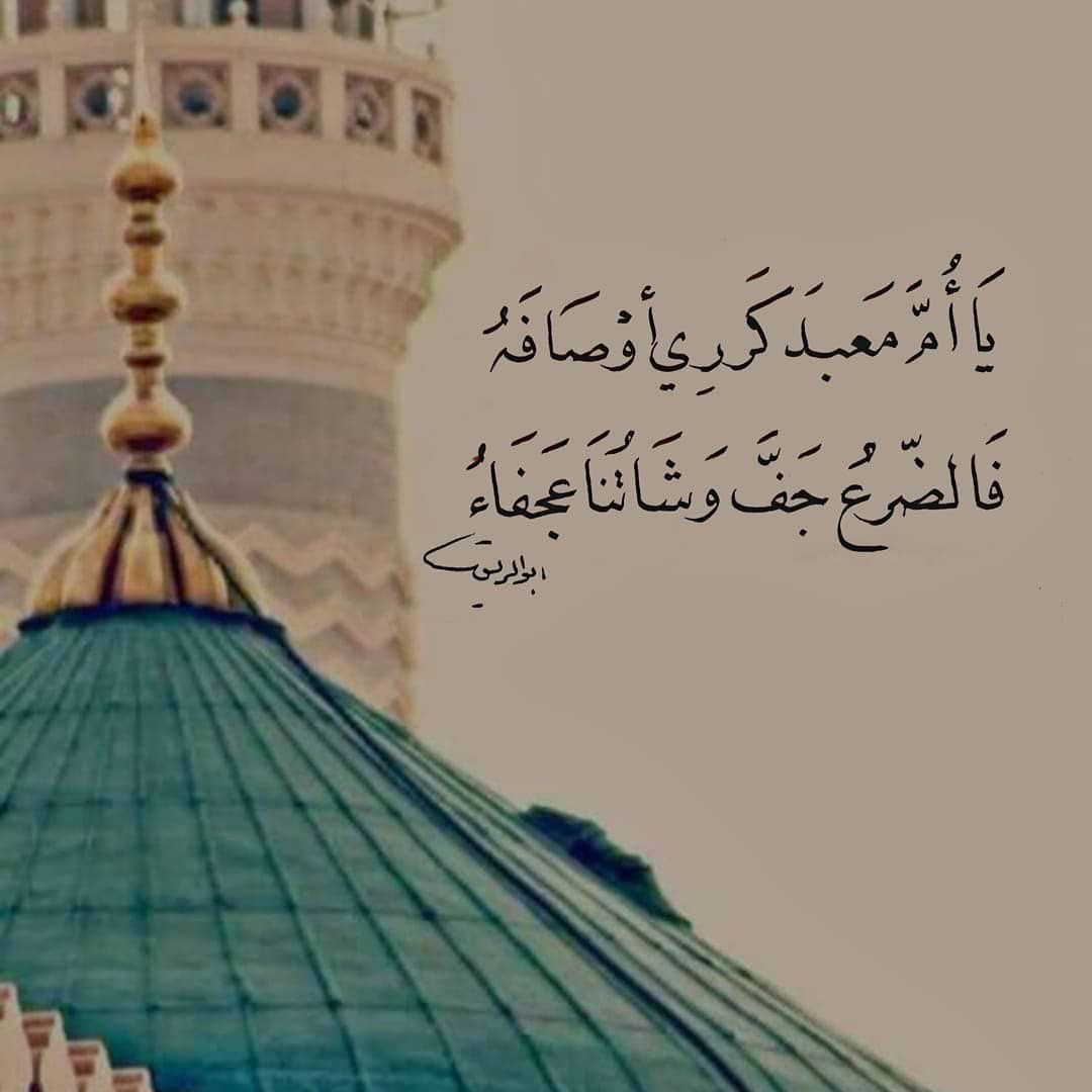 alsayg tweet picture