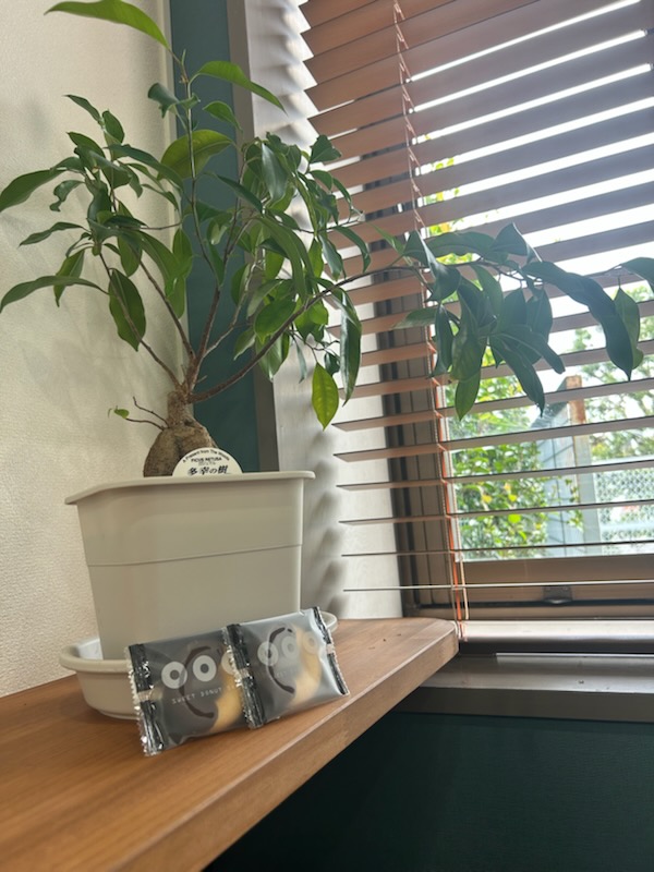 KeiTecPlanning's tweet photo. 今週もお疲れさまでした。

長野県のお土産をいただきました！
ドーナツ型のサブレがサクサクで美味しかったです😋
せっかくなので ＃我樹子 と一緒に...🌲

引き続き、午後も頑張りましょう！

#企業公式がお疲れ様を言い合う
#企業公式相互フォロー #我樹子 https://t.co/syWwKOVZMi