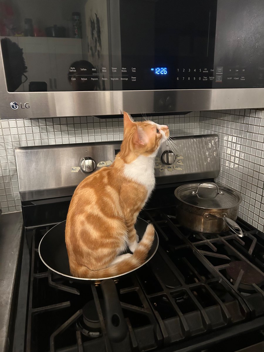 imbobswaget's tweet photo. we’re going to cook and eat him https://t.co/QqCNaKBNEp