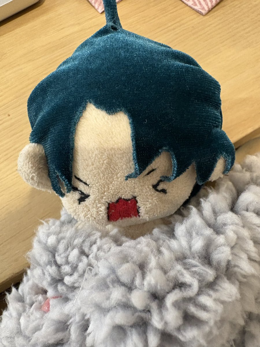 what2miao's tweet photo. fluffy swaddled thing https://t.co/vuSf2UayTF