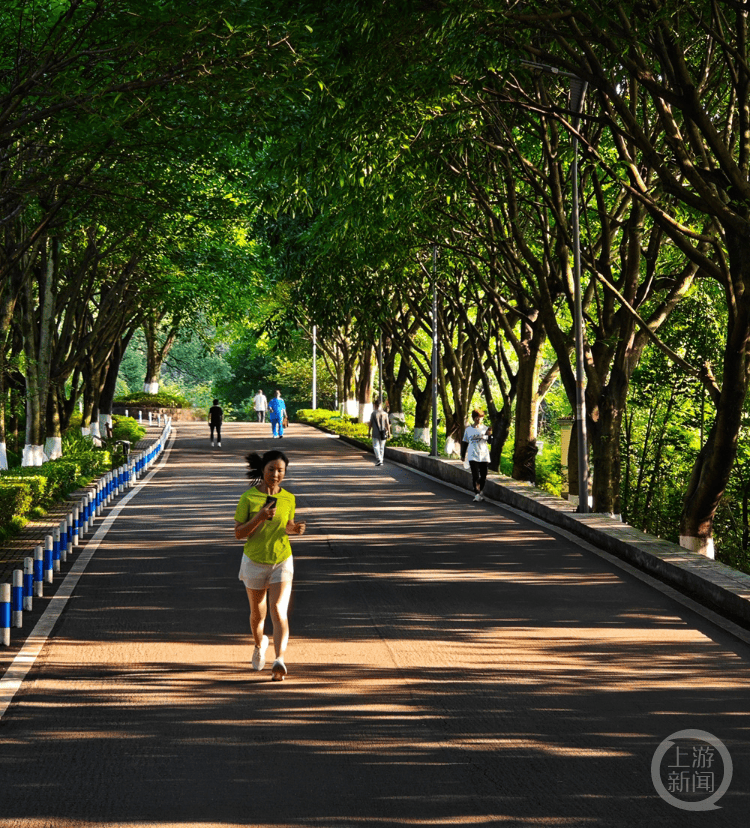 LondynHallmt's tweet photo. Cada día 30 minutos de caminata te ayudan a mantener tu corazón sano y tu estado de ánimo en orden. Empieza hoy! https://t.co/HXQqNKjS1j