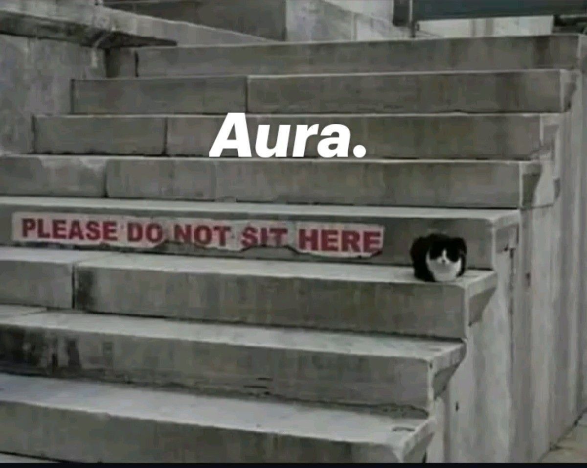 Cats_ooc's tweet photo. https://t.co/9bezbAFESE