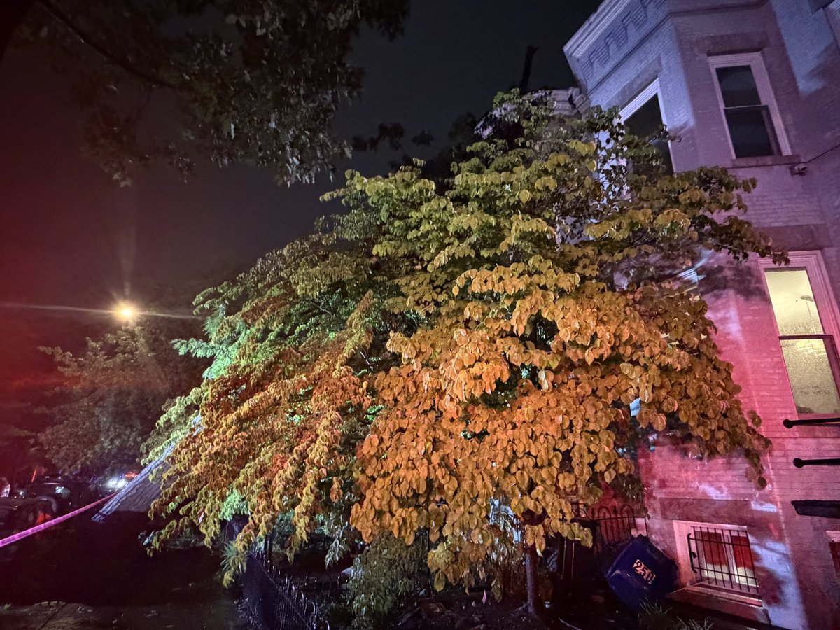 dcfireems's tweet photo. Large Tree on Row Home - 200 Block of 8th Street SE

All occupants evacuated from home with large tree on roof.

No injuries. 

@DC_DOB and @DDOTDC to assist with mitigating this incident. https://t.co/Vvp2rof8UJ