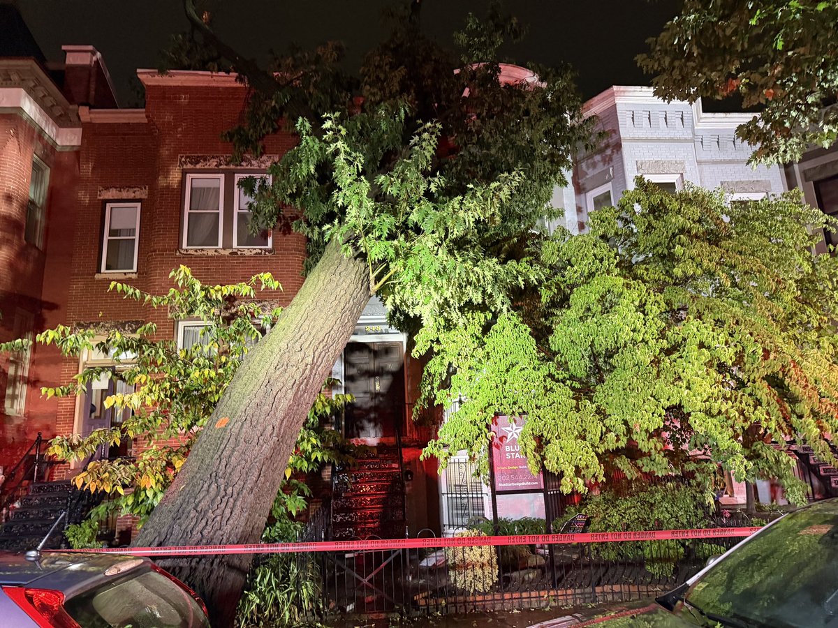 dcfireems's tweet photo. Large Tree on Row Home - 200 Block of 8th Street SE

All occupants evacuated from home with large tree on roof.

No injuries. 

@DC_DOB and @DDOTDC to assist with mitigating this incident. https://t.co/Vvp2rof8UJ
