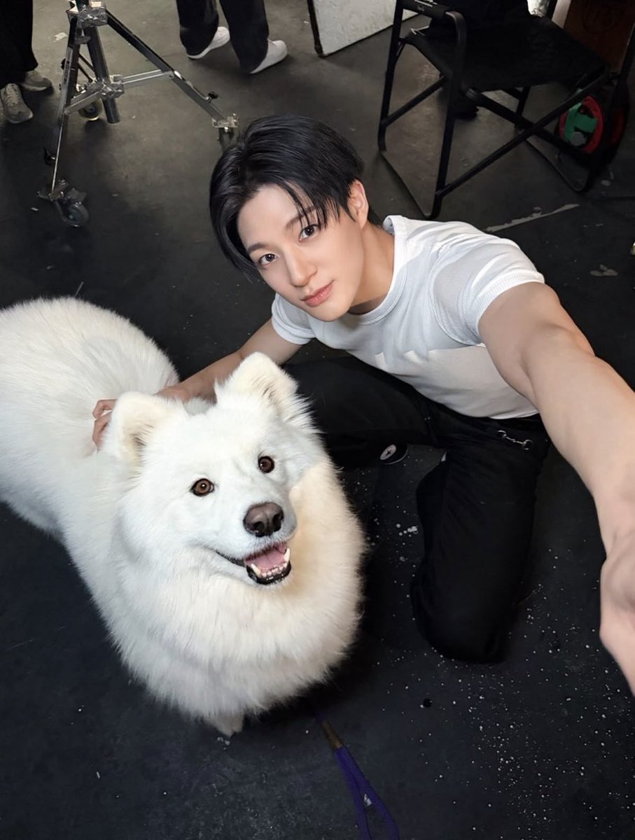 puppyhouselee's tweet photo. ผมชอบขับรถ ผมไปส่งได้ทุกวัน
พูดมาเลย ผมชอบรับฟัง
ผมชอบหมา ผมชอบกีฬา แล้วคุณชอบไหม https://t.co/2cvNIEY3zc