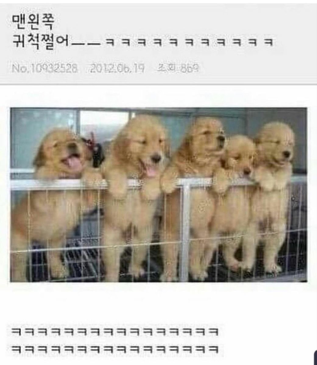 Are_you_0kay_'s tweet photo. 하
이 사진 볼때마다 우슴 존나 나와 ㅜㅜ
어떤 꺅둥이 귀척 쩔어서 ㅡㅡ
🫳🫳🫳🫳🫳🫳🫳🫳🫳🫳🫳 https://t.co/8dZ7COHGVT