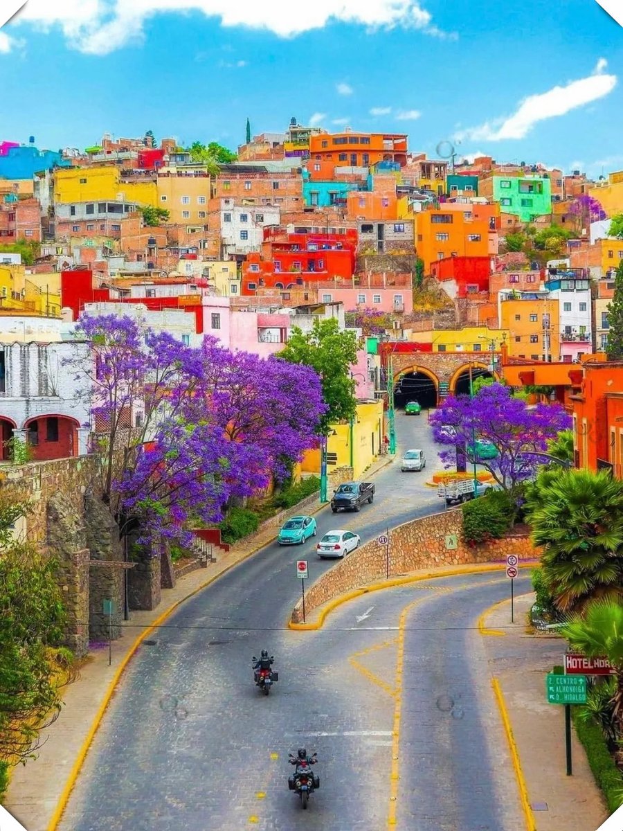 SophiaGreyed's tweet photo. Ahora en la Ciudad de México! Probando el taco al pastor más famoso y recorriendo las calles coloridas del centro. ， https://t.co/sI7TEiPLFp