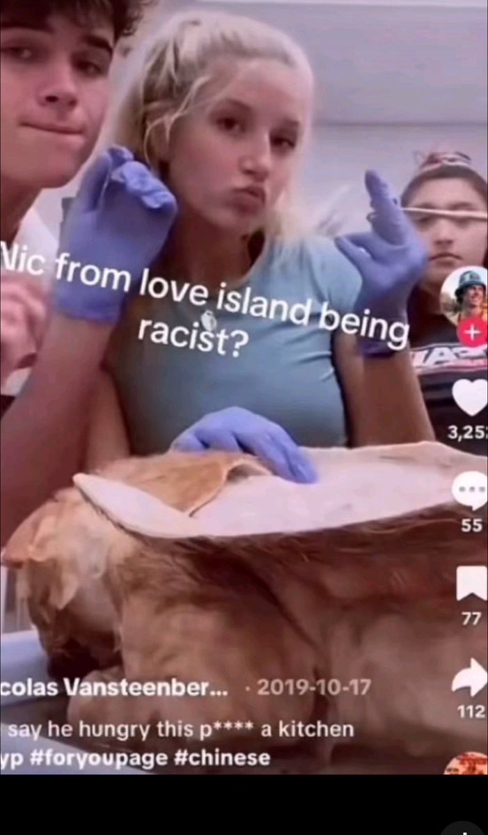 switching4ya's tweet photo. nicolandria fans deadass think owning a small place is worse than being maga, micro aggressive and racist https://t.co/mn3AmGZy7K