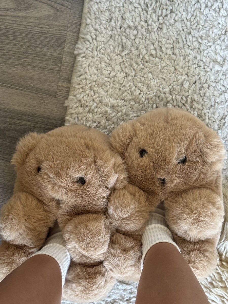 cozygirlx's tweet photo. the only appropriate footwear for a lazy day https://t.co/CenySneRTz
