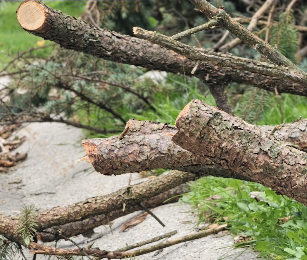 VillageOfCrete's tweet photo. Brush and tree debris pickup continues through October 18th. Crete Public Works will begin its final pickup round October 19th. Please do not put out more debris after October 18th. Anything placed out after is subject to code enforcement. Branch chipping resumes in spring. https://t.co/x0kySVn98t