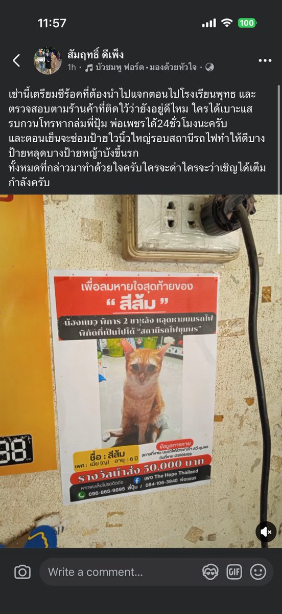 KhaohomSiri's tweet photo. เอาใจช่วยพี่สัมฤทธิ์ ขอให้ประสบความสำเร็จเจอน้องสีส้มทีเถอะ น้องสีส้มหนูไปอยู่ที่ไหนออกมาได้แล้วนะ

ใครมีเบาะแสติดต่อไปทางพ่อเพชร หรือ พี่ปุ๋มได้เลยนะคะ 

#แมวหายบนรถไฟ #น้องสีส้ม https://t.co/6eAPv1vAbI