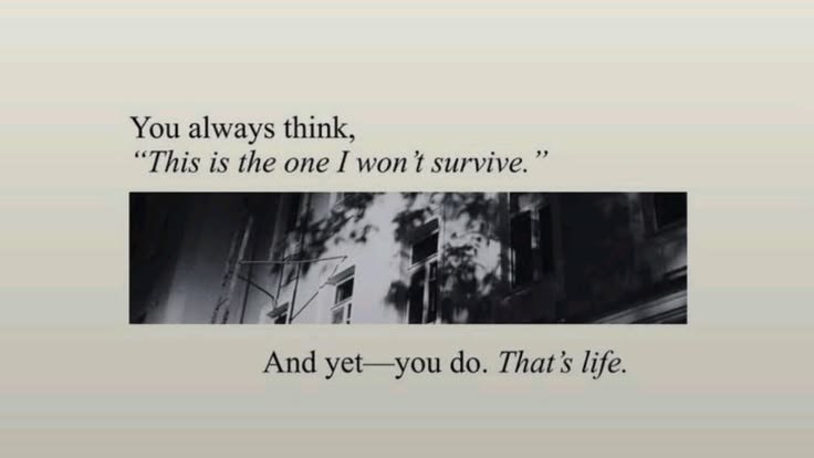 Literariium's tweet photo. you always think https://t.co/GlIbqiv02f