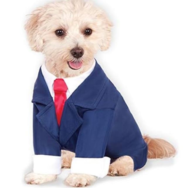 videogamedeals's tweet photo. Phoenix Wright Pet Costume for Dogs or Cats, XXXL $24.99 via Woot (Amazon Prime Eligible). https://t.co/7Iki9NKDtz https://t.co/RjduQE1HWa