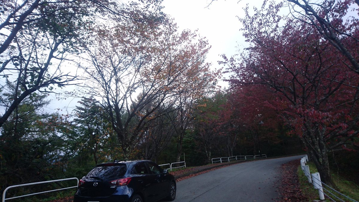 alive_ok320's tweet photo. @tyyh1985 デモカーもあるぞ( ˇωˇ ) https://t.co/MWsN6KVoR6