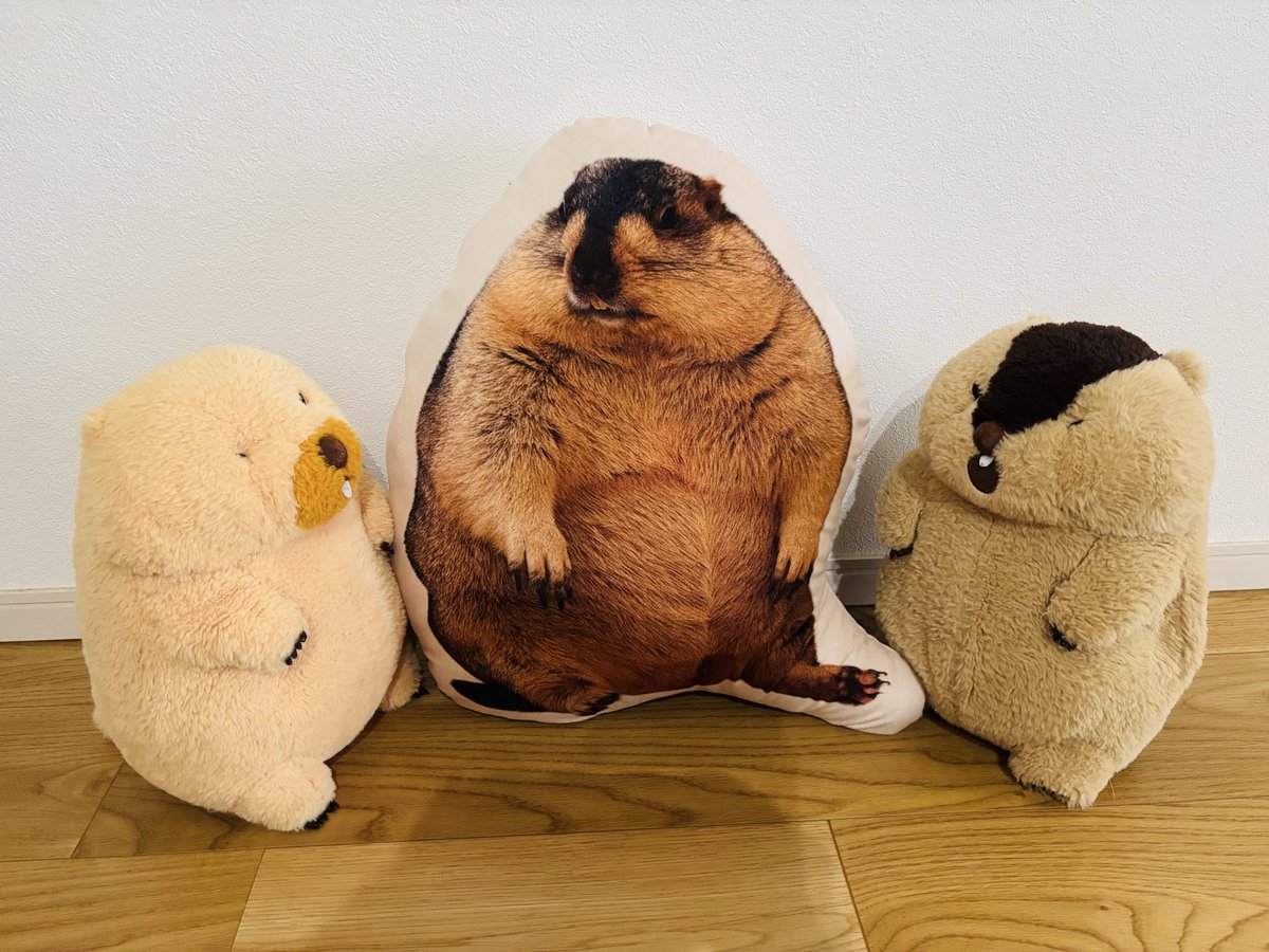 TamaYu0712's tweet photo. 夏の思い出🌻
また行きたいな✨必ず行くぞー

#マーモットのもっとっと広場 https://t.co/IJpaQoa0Vs