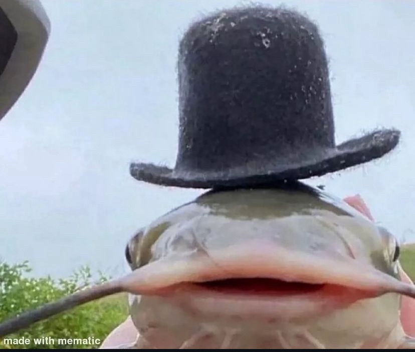 KerlySife's tweet photo. going to sleep, i wish that i wake up to comments and subscribers and likes on my youtube tomorrow
please make this wish come true <3
#youtube #youtuber #chipfliper #twitch #streamer #conent #contentcreator https://t.co/IBYoWbTBAS