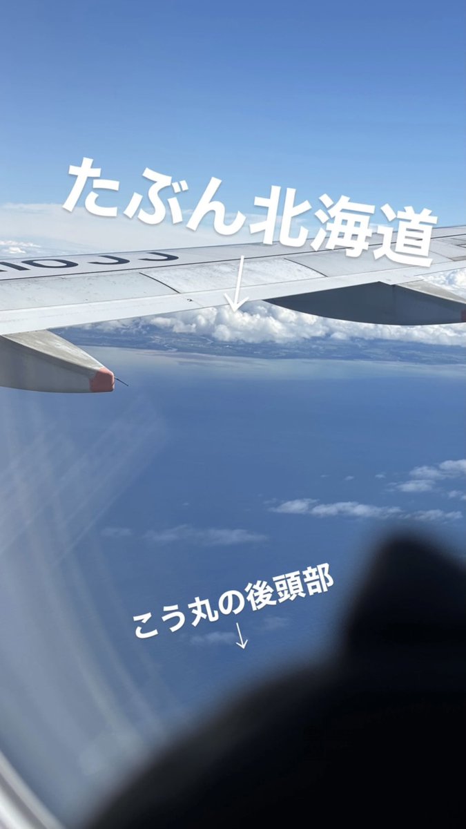 cha_sster's tweet photo. in 北海道！！

こう丸ぬいの後頭部を添えて…·͜·ᰔᩚ

#すずしょうとといっしょ2026 https://t.co/70qSjQgAQ2