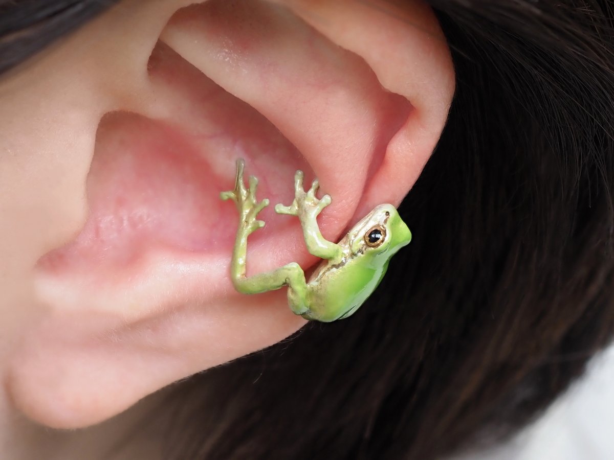 ninaendlesseive's tweet photo. 雨が続きますね☔️

雨といえばアマガエル🐸
定番のイヤーカフもまた作りました✨

こちらも9月中旬頃の販売予定です！ https://t.co/i56kFtmqCU