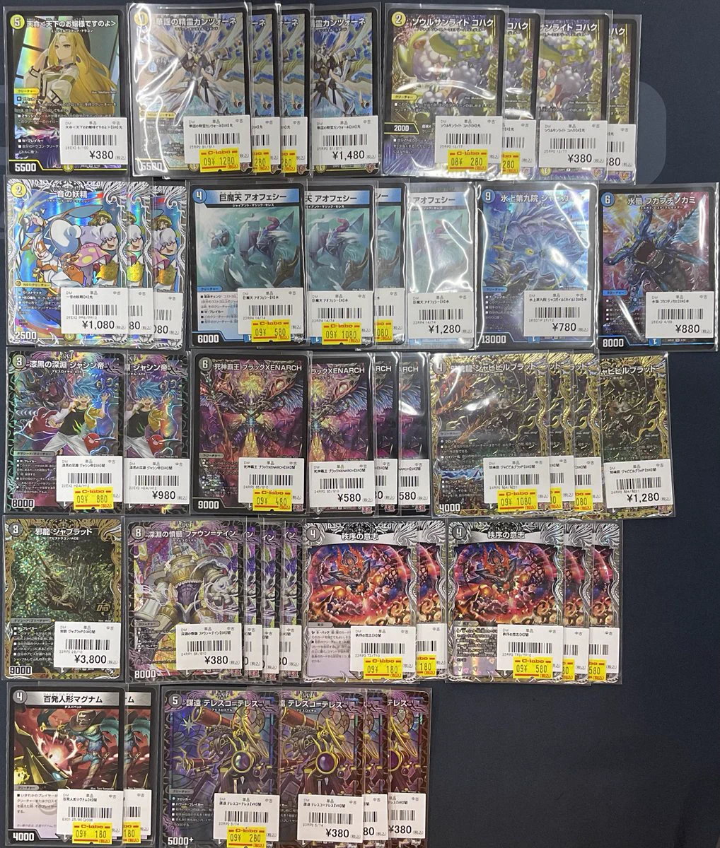 活動歴および当時の関連ビジュアル記録