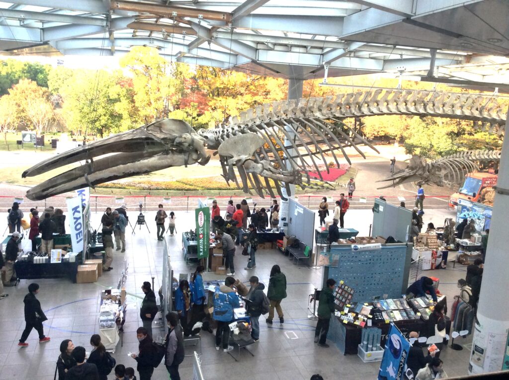 osaka_shizenshi's tweet photo. 大阪市立自然史博物館の新着情報 「大阪自然史フェスティバル２０２６」を開催します https://t.co/ELK1V1Bs3L https://t.co/TkrREbzwzz