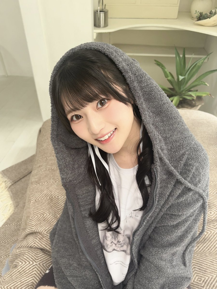 aoki__hina's tweet photo. ←ねこ　あざらし→ https://t.co/xCe0DeAcw7
