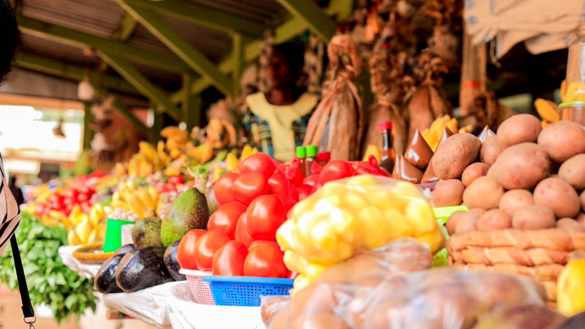 RoqueDerryque's tweet photo. Hoima Main Market: Bunyoro's financial heartbeat! Home to 600+ vendors &amp; an on-site day-care, it generates UGX 200M+ annually, supporting local services. A key hub for PDM farmers, it fuels #NDPIV goals through monetization &amp; growth. 🌱 #GoldenPosts #SecuringYourFuture
@UCC_ED https://t.co/Z9HQOKybCD