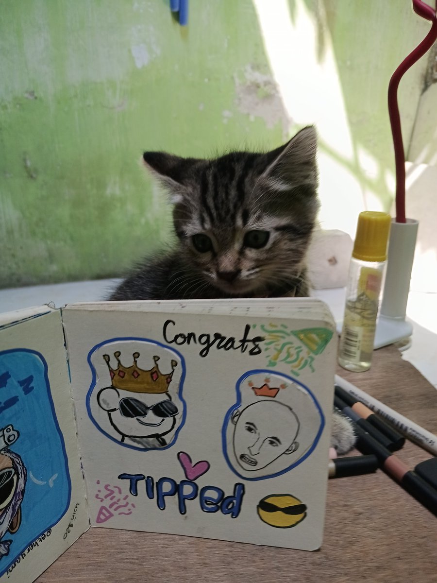 etherYami's tweet photo. @yungreal69 My cat said tipped "yung tipped my servant" https://t.co/wGjhbe9PH6
