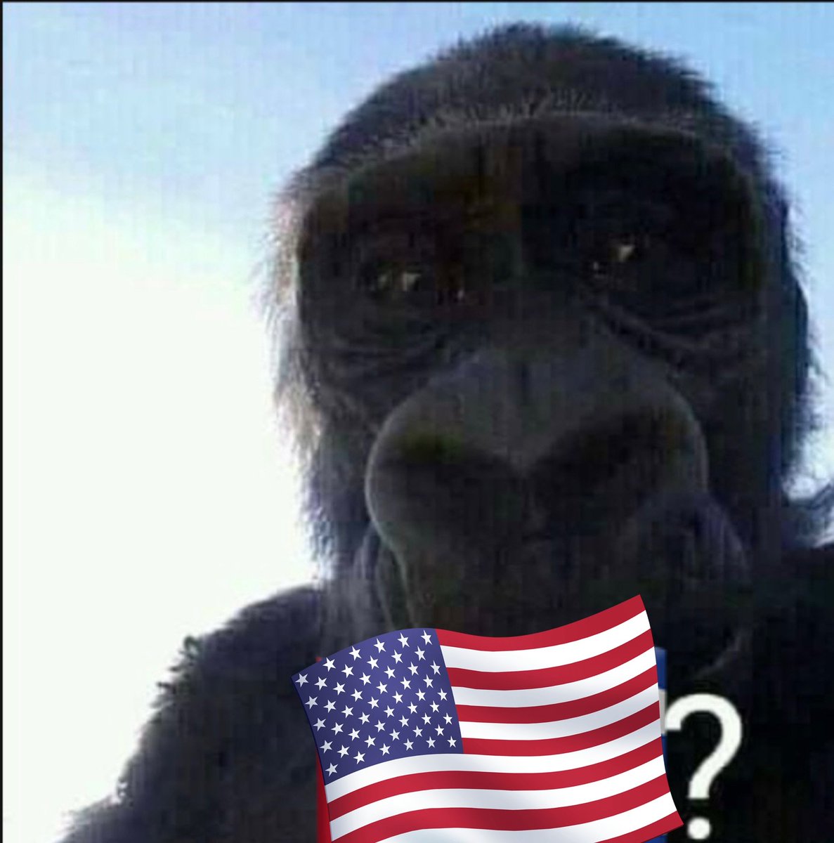 DaxoFast's tweet photo. @Azzulito19 @EmilUSA2007 Ya doxxearøn a @EmilUSA2007 

Es este indiø cara de escultura prehispánica, desnutridø, enano y con rasgøs andinos con un patrimonio de 200 dólares mensuales 😂

Tu nombre: Emiliano Pancho Cruz

País: Cuba

Estatura: 1,65

Colør de piel: N1gga 

JAJAJAJA @EmilUSA2007 https://t.co/VklOIjSjyx