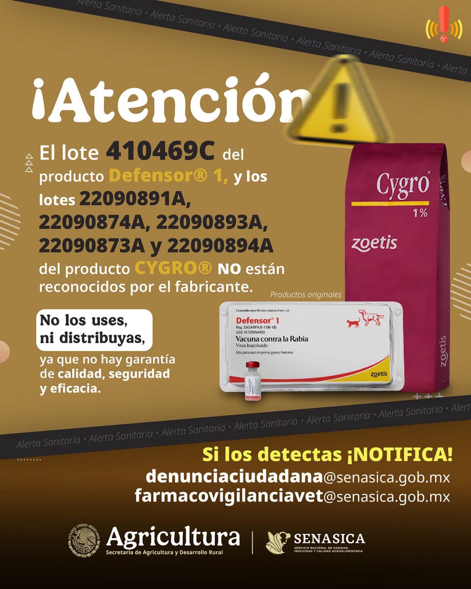 YoAmoaLaCiencia's tweet photo. ⚠️ Alerta sanitaria: vacuna contra la rabia pirata

SENASICA alertó por la circulación de vacuna contra la rabia falsificada para perros y gatos.

Antes de vacunar a tu perro o gato, exige ver el frasco y revisa lote, caducidad y fabricante. Pide que esos datos queden registrados en su cartilla.

Desconfía de personas no identificadas que recorren las calles con altavoces ofreciendo vacunas a cambio de propinas. 

Verifica siempre que la campaña sea oficial antes de permitir cualquier aplicación.

Nota: Los demás productos incluidos en la alerta son medicamentos para pollos de engorda.