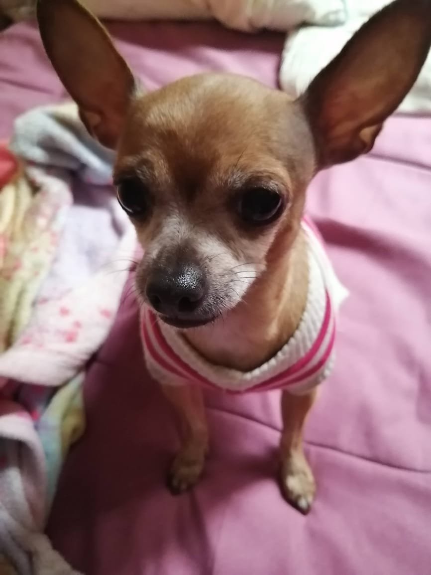 ddnsse's tweet photo. obvio que te voy a extrañar por el resto de mi vida https://t.co/wZ0DPKz5Ki