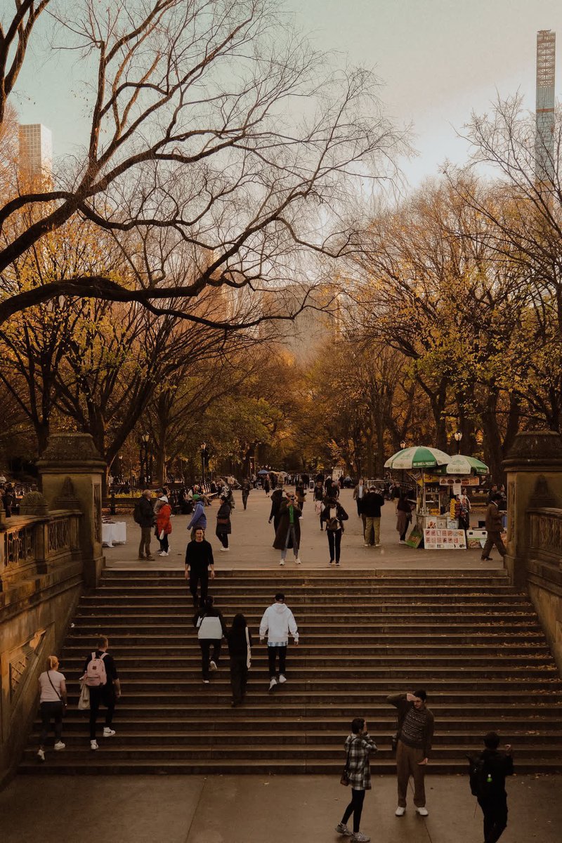 earthserenityy's tweet photo. Central Park New York in Autumn https://t.co/2G9OdtM4WV