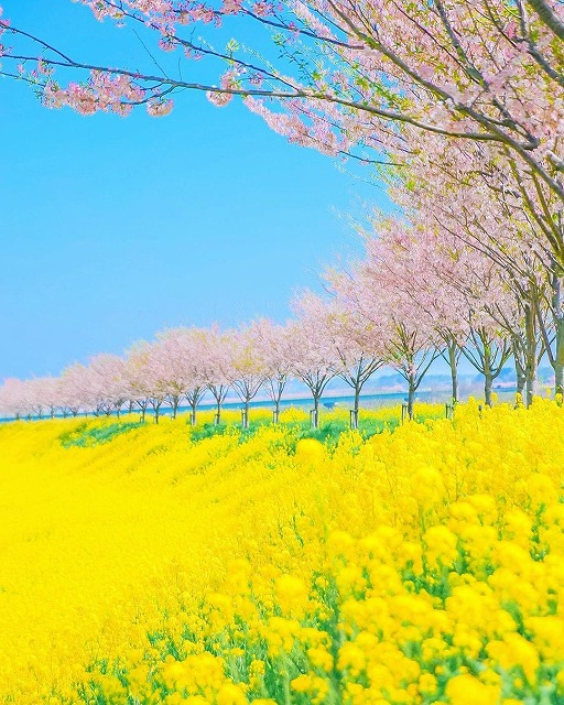 AudreyBeermho's tweet photo. やっぱり夏の終わりの北海道は涼しい方が好みだ。朝のランニング中、肌寒さに反応して体が勝手に冬の準備を始める気がする。

#北海道 #漫画好きと繋がりたい https://t.co/9B1Jgs6E2N