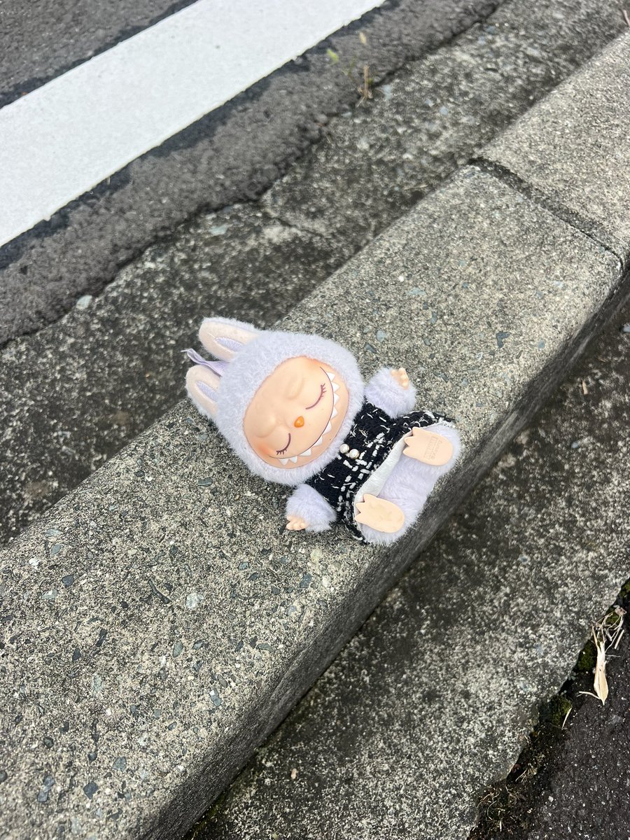 1001T2's tweet photo. ガチなんだけど道でらぶぶが寝てた、、、、らぶぶ初めて見た、、、 https://t.co/uFJmsCOiMJ