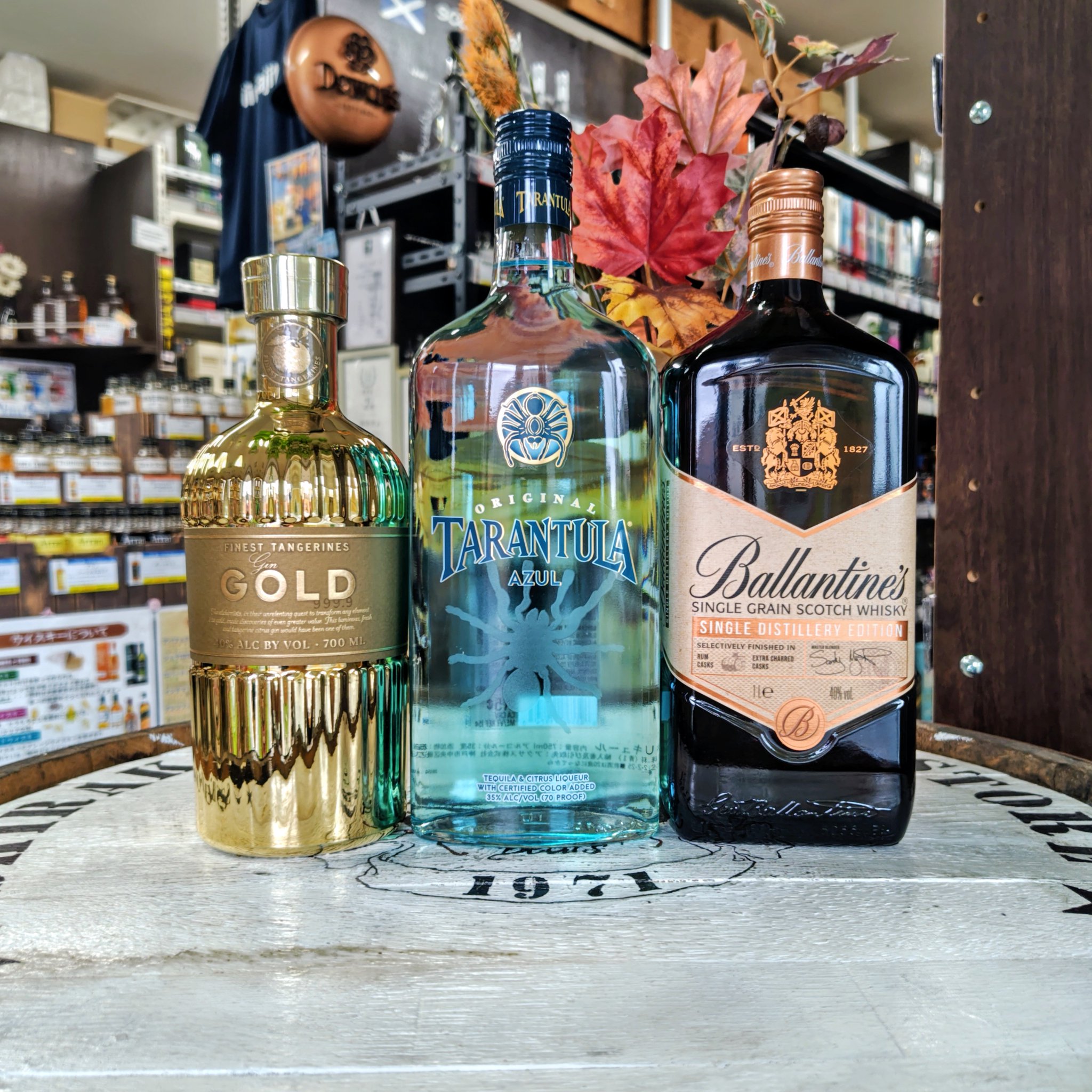 X-এ 有限会社白川酒店: 