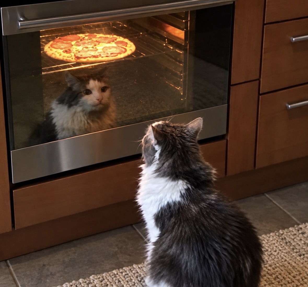 RespectfulMemes's tweet photo. Me: I’m sorry I can’t go out. I have plans. 

My plans: https://t.co/ER8Wj41885