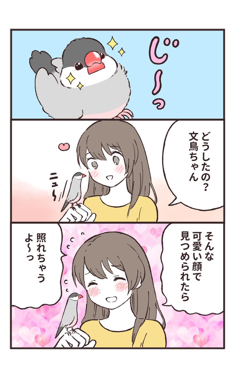 sinamomomomo's tweet photo. （再掲）文鳥あるある

#漫画が読めるハッシュタグ https://t.co/L130xoFeNg