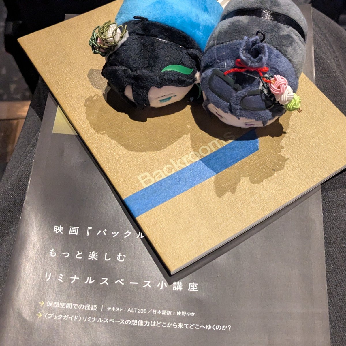 bbb_syumei's tweet photo. いってきた。二度と見ねえからな。 https://t.co/uvlRCFiPI8