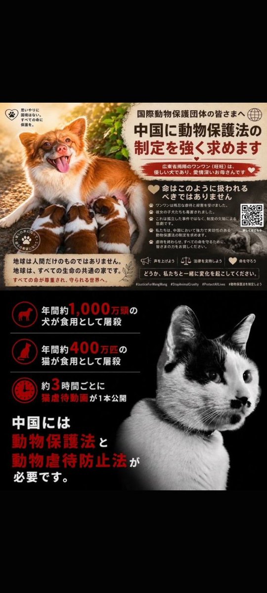 Mitsu79203884's tweet photo. 動物虐待犯へ。

動物達は貴方のウサうさ晴らしや、捌け口ではありません。
『因果応報』と言う言葉…
知ってますか？
貴方がした事はいずれ必ず御自身に返って来ます。
そろそろ『虐殺…』やめませんか？

#旺旺 #中国広東省揭陽虐狗事件 
#中国猫拷問ビジネス撲滅壊滅‼️
#動物愛護に国境はない https://t.co/pOxyle5kiN