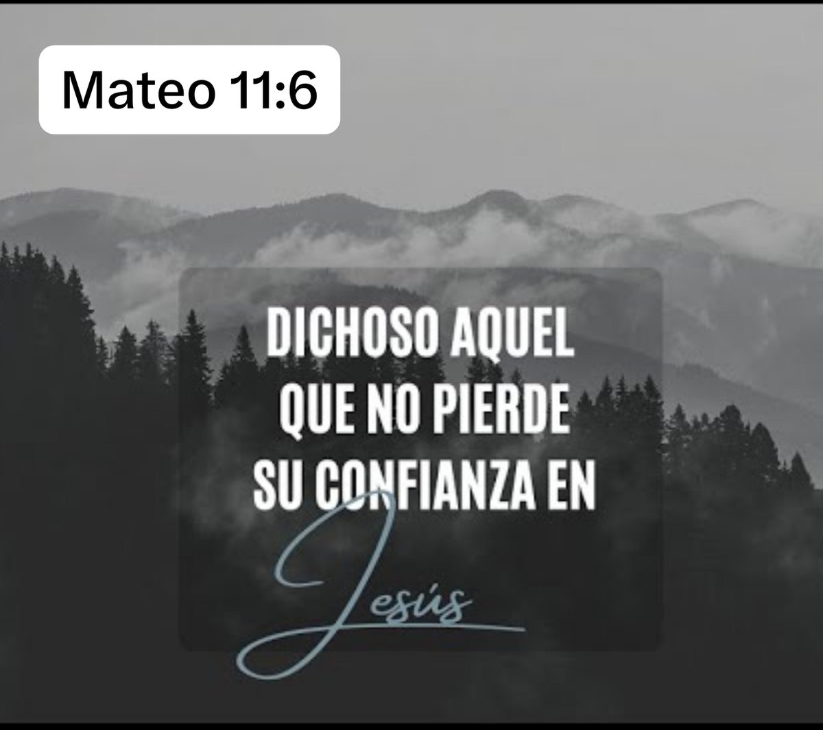 DIOSMEAMA_DIANA's tweet photo. 🤍 La GRACIA y la PAZ del SEÑOR sean con ustedes, ánimo 🤗🤍

.
🌸 Hebreos 10:39
Pero nosotros 
no somos 
de los que 
retroceden 
para perdición , 
sino de los 
que tienen 
FE PARA 
PRESERVACIÓN 
DEL ALMA. 🕊️📖💞
. https://t.co/4XW5xBQBUh