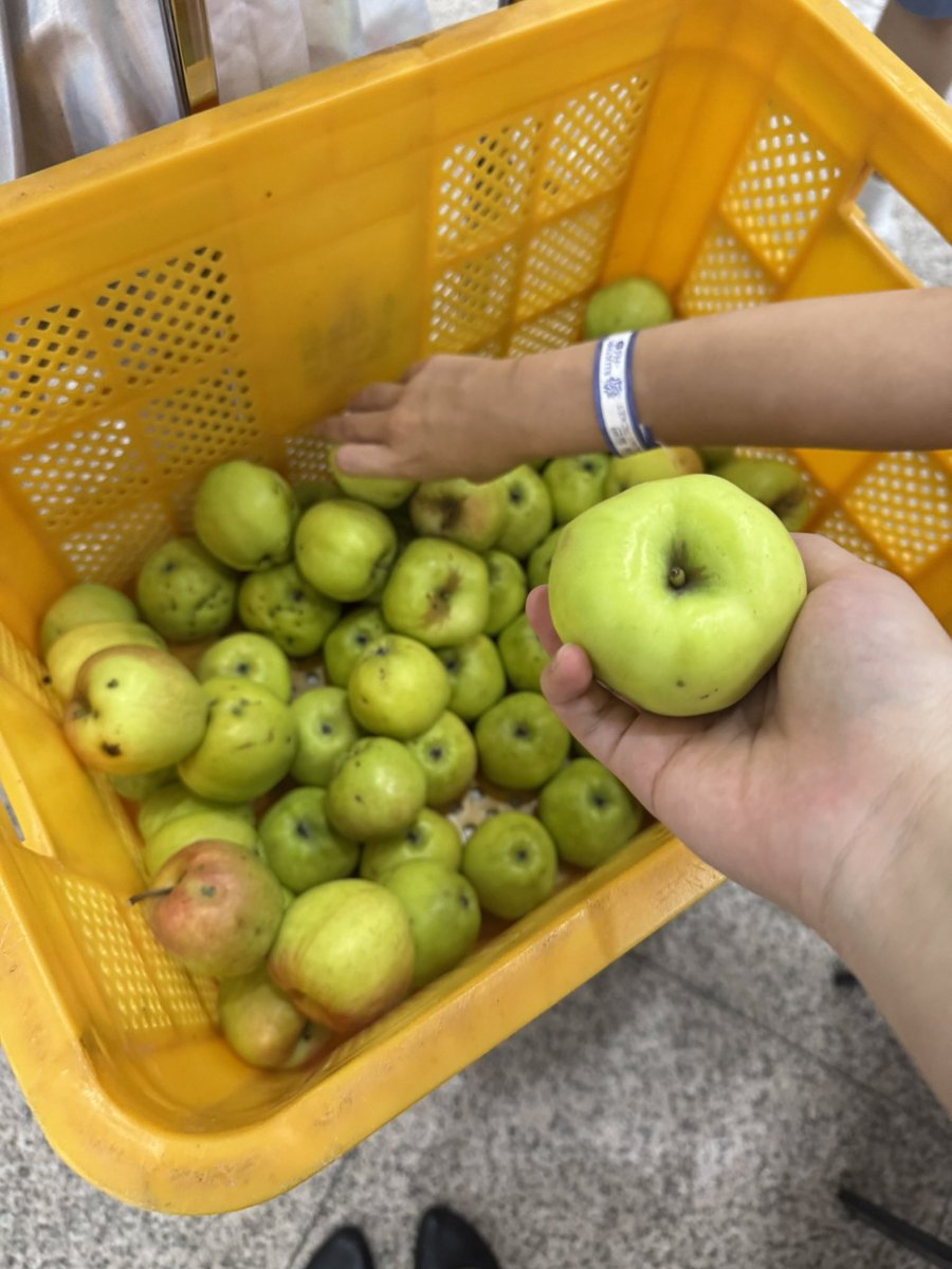 sen_sen_cos's tweet photo. 일페때 받은 사과당 찍은게 갤러리에 있네요 https://t.co/LWgyVpPJPd