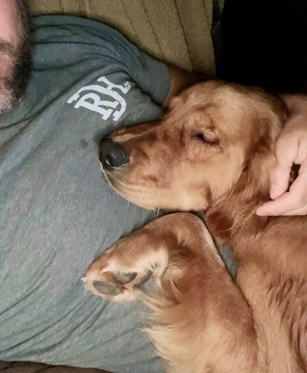 DanielJac11's tweet photo. A dog is the only thing on earth that loves you more than he loves himself 🐶 https://t.co/8GWMyZHnI8