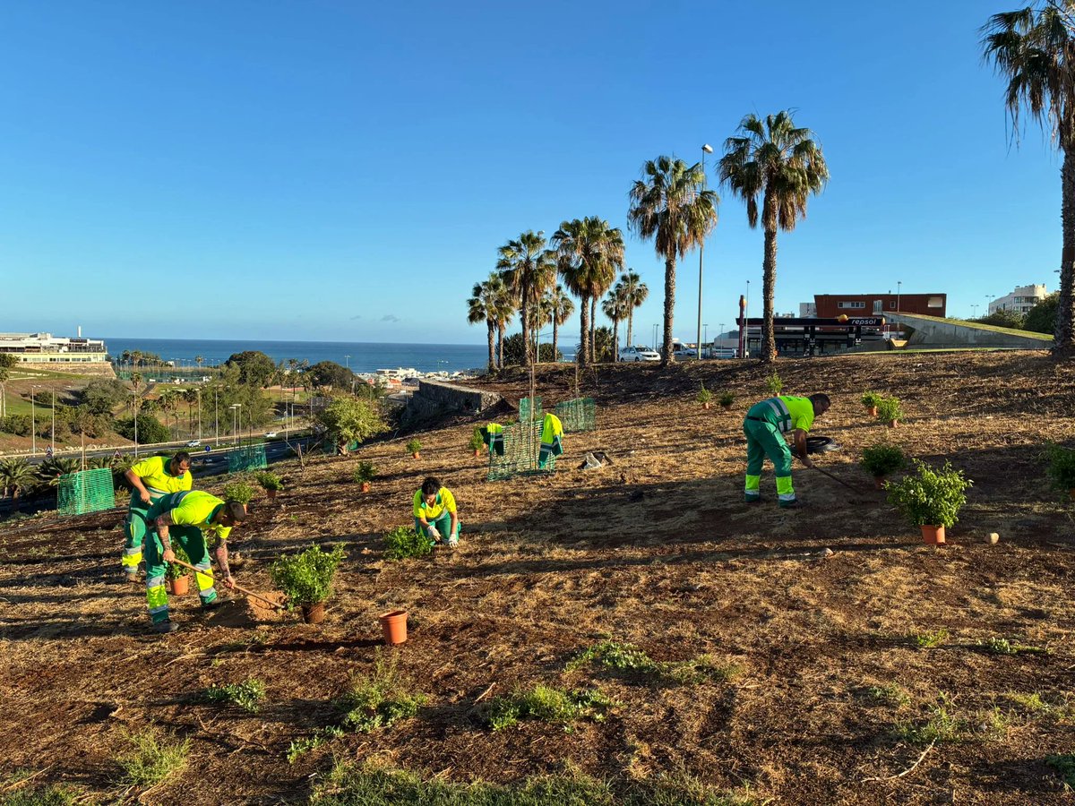 Radio_Islas's tweet photo. 🌳 Las Palmas de Gran Canaria reactiva la licitación de Parques y Jardines tras aprobar cambios en los pliegos.

https://t.co/i34NWcy1oC

#ParquesYJardines #LasPalmasGC #ZonasVerdes #eldiariodelasislas https://t.co/Dht5ncagyb