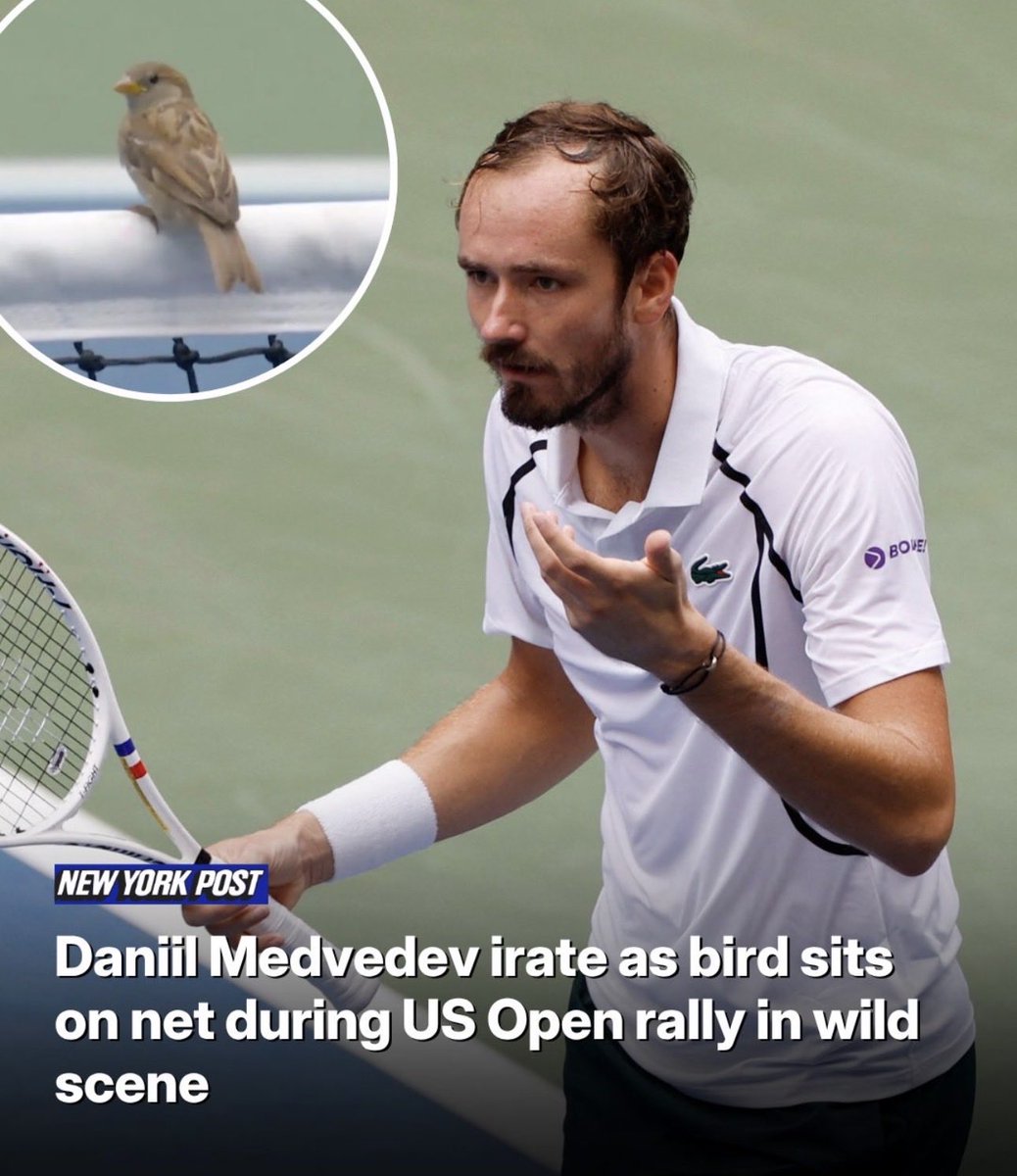 slothanova's tweet photo. i am obsessed with this man and the situations he finds himself in https://t.co/5qgct6CIeN