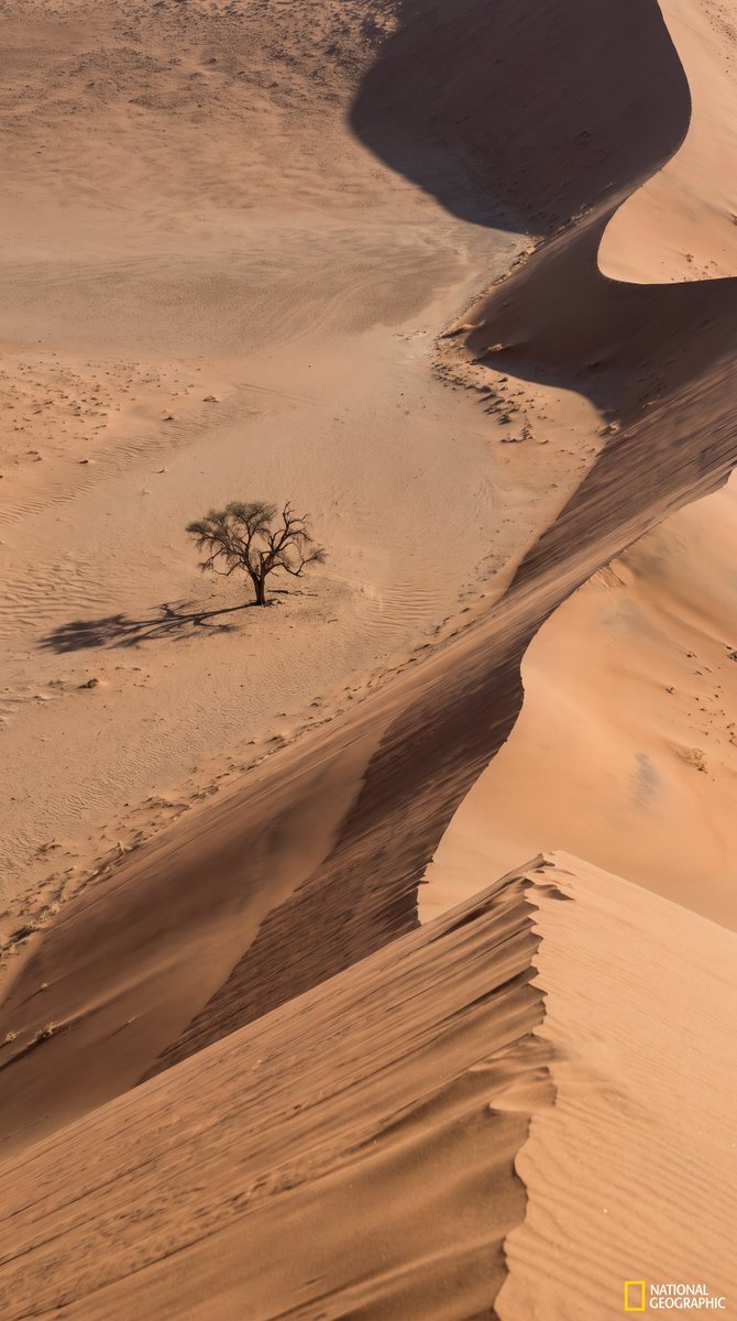 nature_motion's tweet photo. https://t.co/vQl83eqDHg